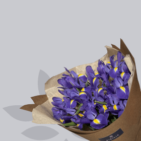 Букеты из ирисов