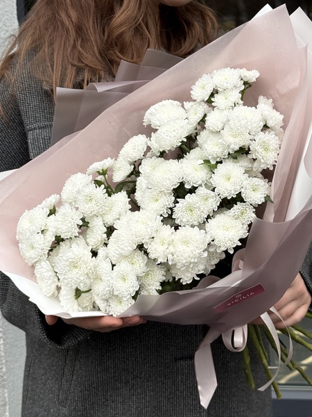 Монобукет из кустовой хризантемы №210