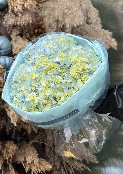 Монобукет из гортензии №194